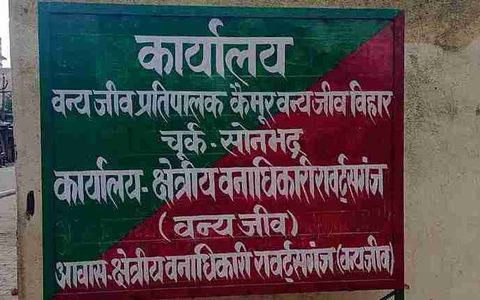 सोनभद्र में जंगली सुअर के शिकार के मामले में वन विभाग की कार्रवाई