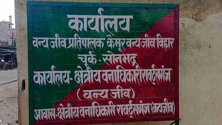 सोनभद्र में जंगली सुअर के शिकार के मामले में वन विभाग की कार्रवाई